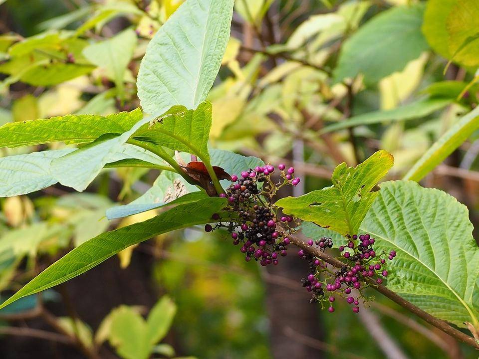 PB230509 - コピー.jpg