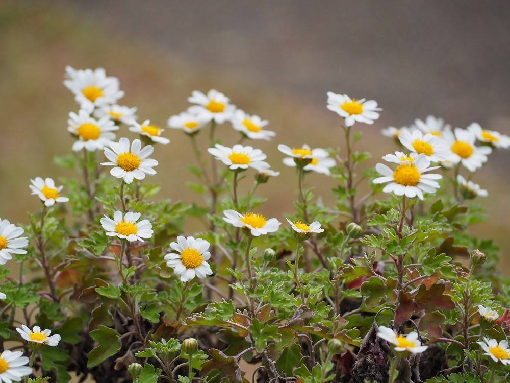 PB240178 - コピー.jpg