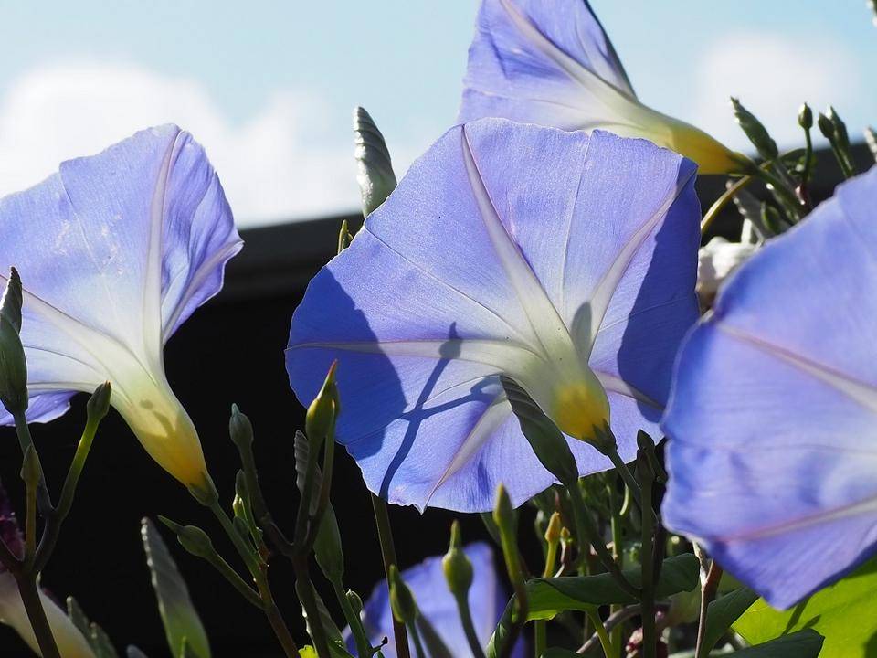 P9240615 - コピー.jpg