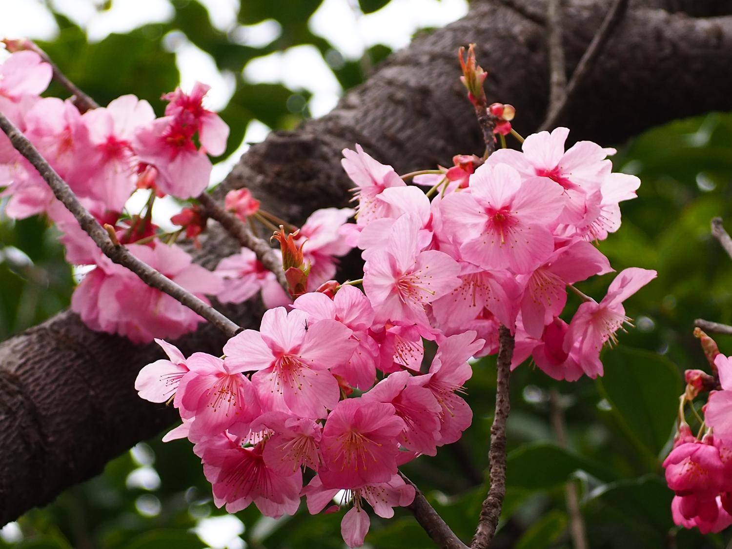 P3260527 - コピー.jpg