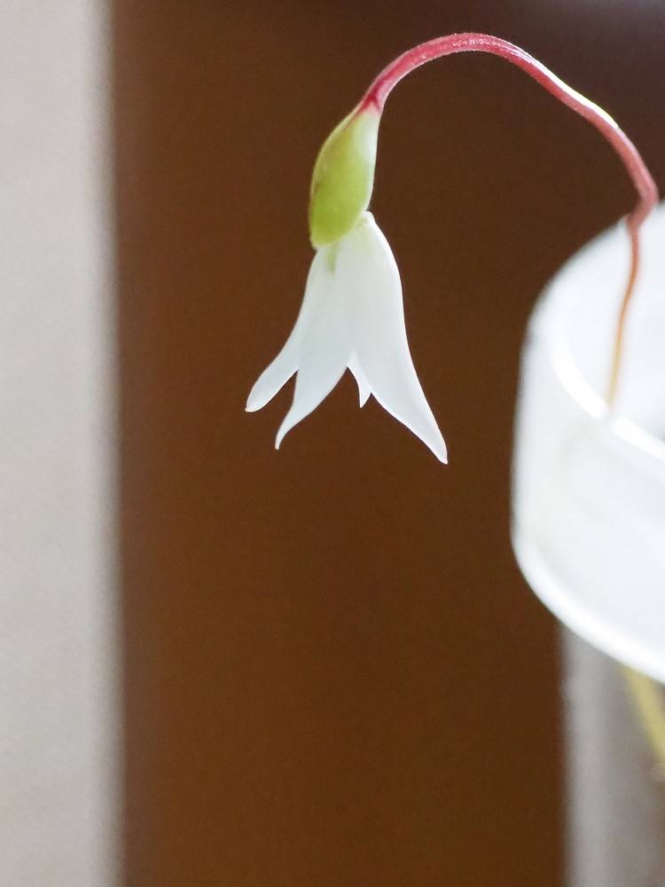 PA050503 - コピー.jpg