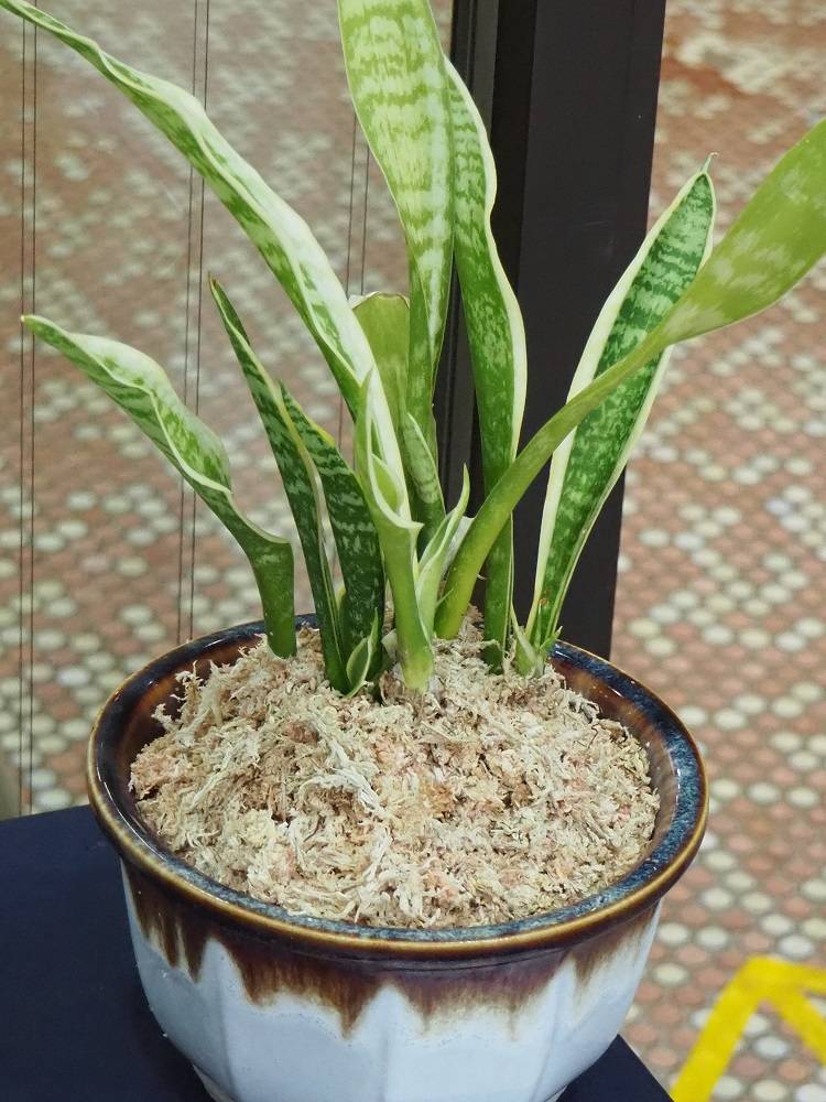 P1050602 - コピー.jpg