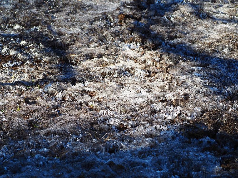 P1300324 - コピー.jpg