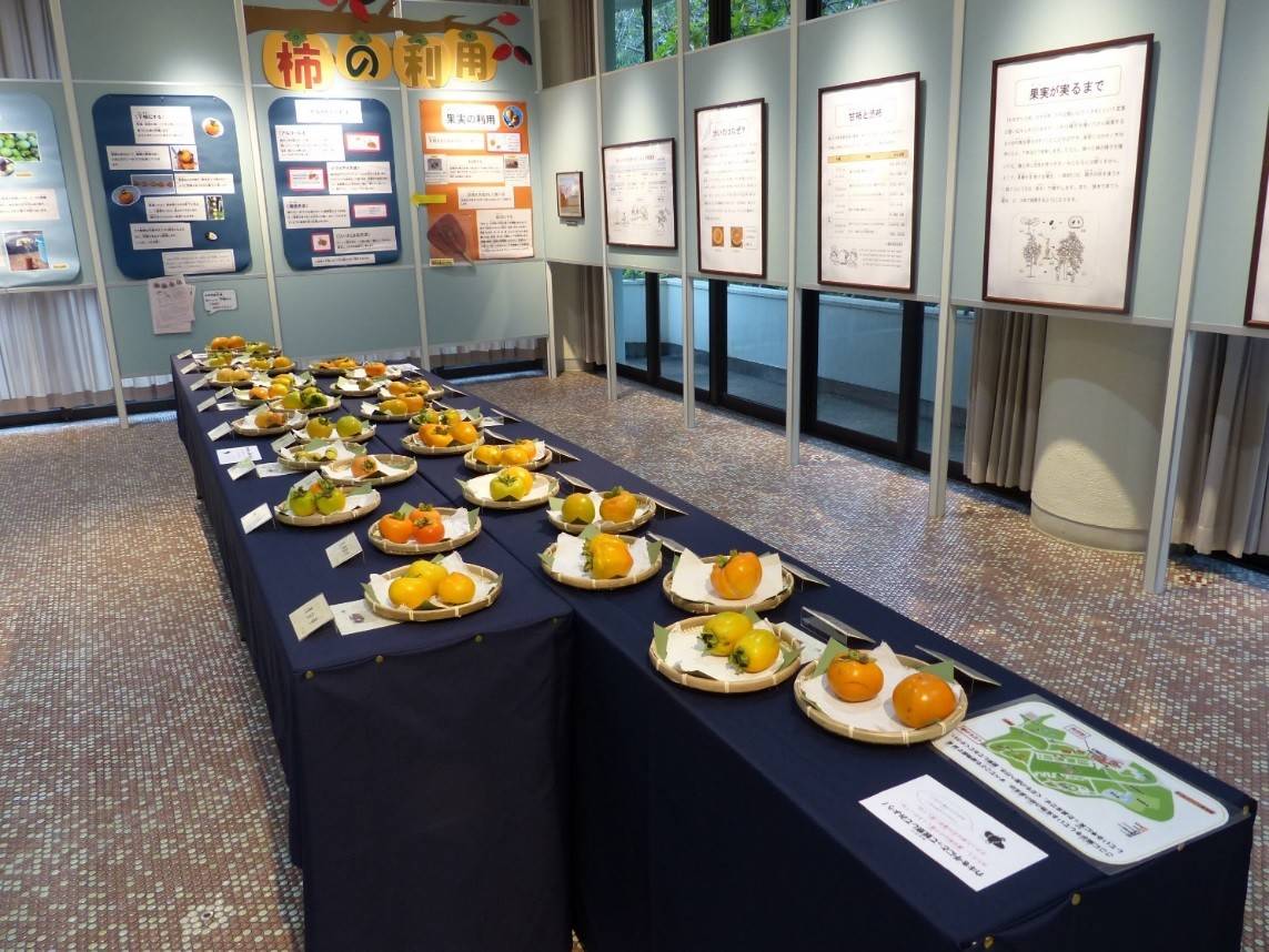 柿展29_02.jpg