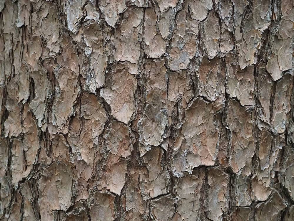 PB020231 - コピー.jpg