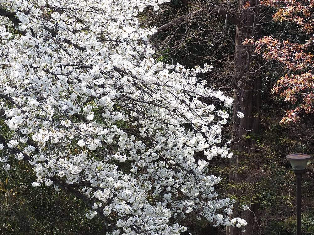 P3280542 - コピー.jpg