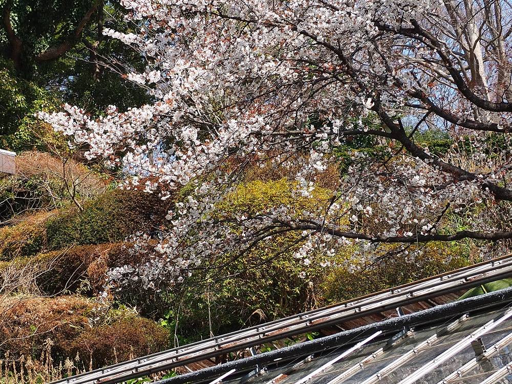 P3240523 - コピー.jpg