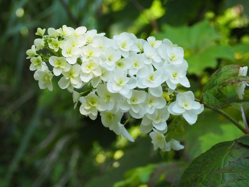 P5310506 - コピー.jpg