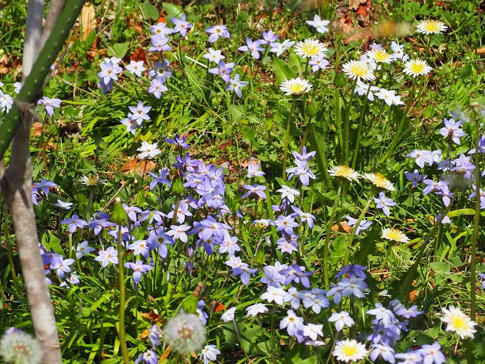 P3280525 - コピー.jpg