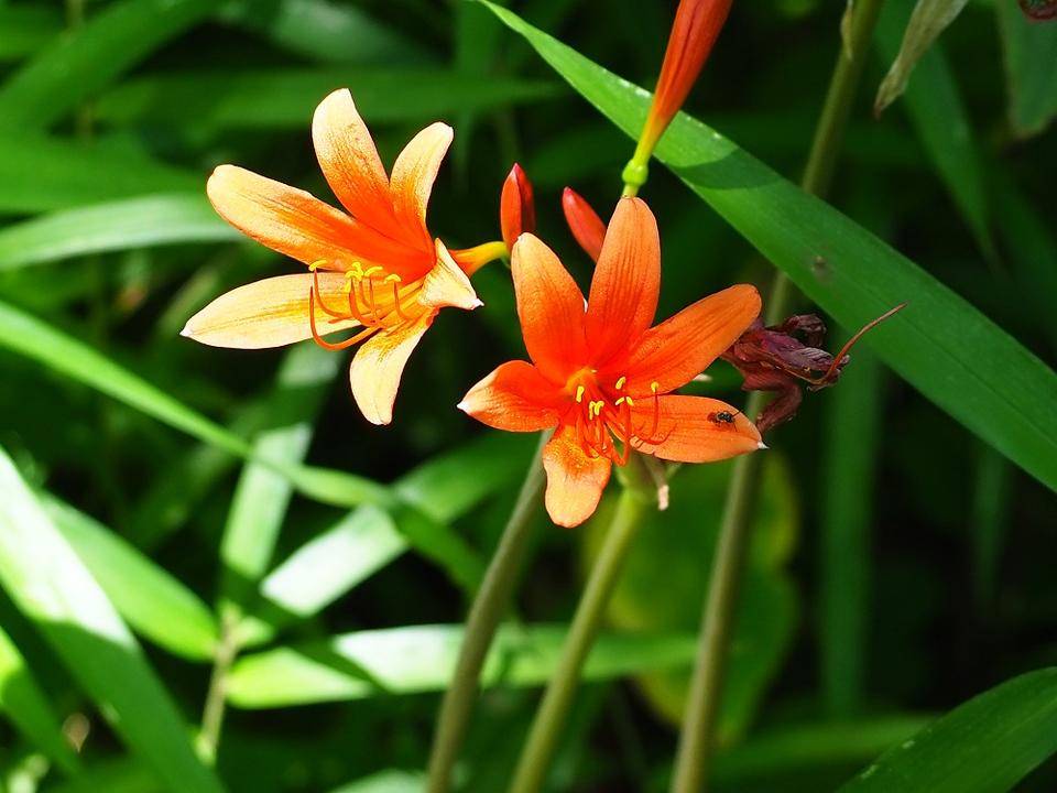 P7220597 - コピー.jpg