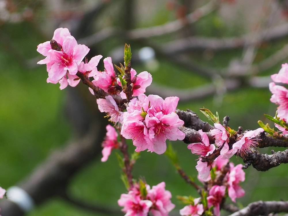 P3280563 - コピー.jpg