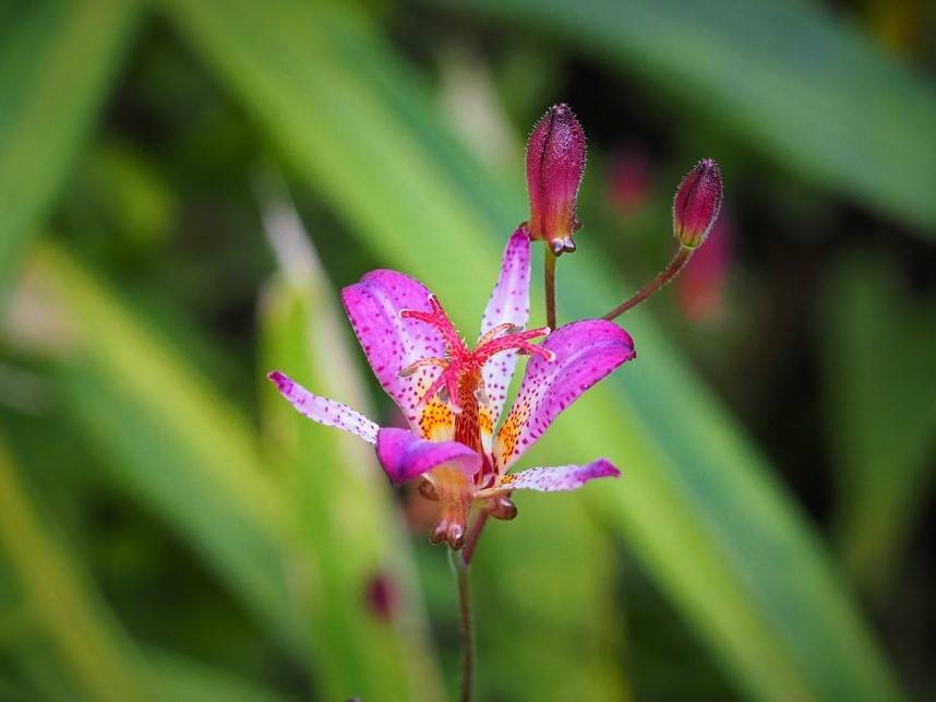 PA210164 - コピー.jpg