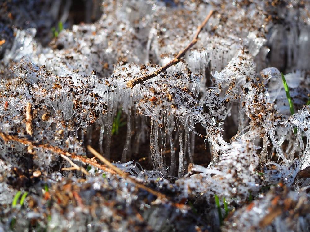 P1300356 - コピー.jpg