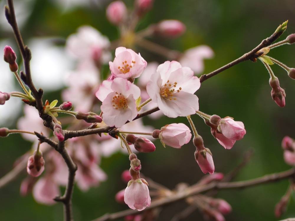 P3260561 - コピー.jpg