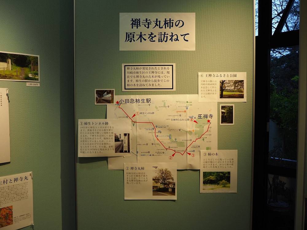 PA070172 - コピー.jpg