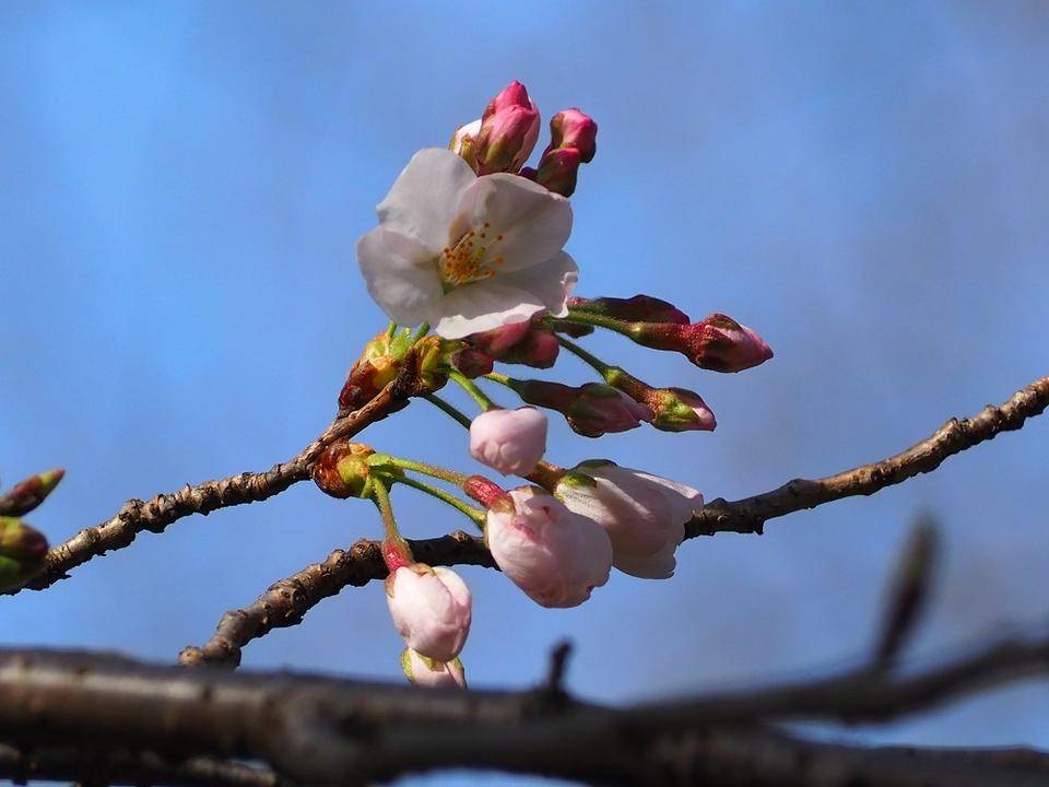 P3170354 - コピー.jpg