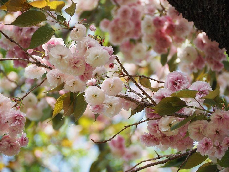 P4150488 - コピー.jpg