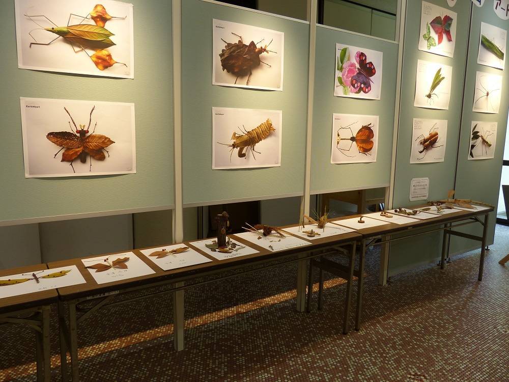 昆虫と植物展_葉っぱアート.jpg