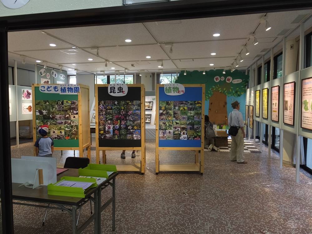 昆虫と植物展_会場.jpg