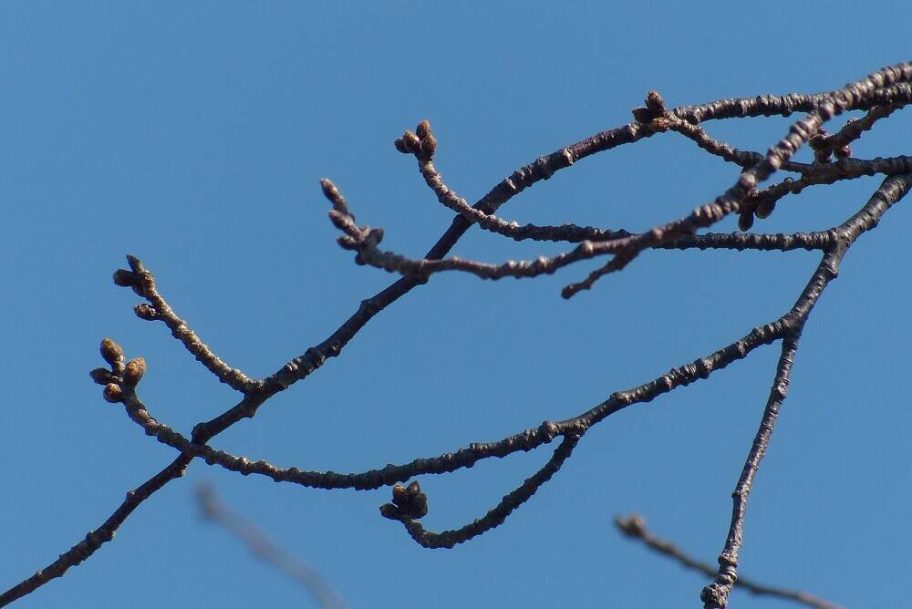 P1560493 - コピー.jpg