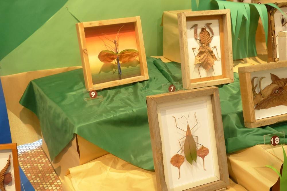 18昆虫と植物展06.jpg