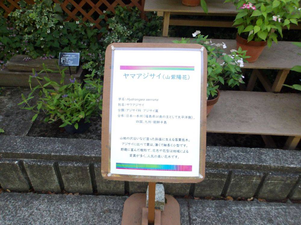 看板.jpg