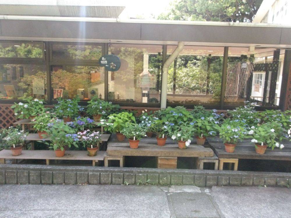 展示.jpg