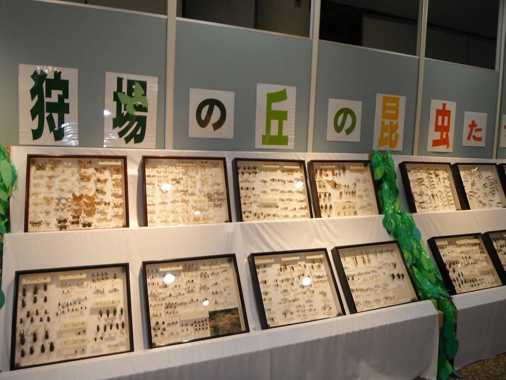 18昆虫と植物展02.jpg