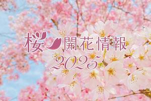 桜 開花情報2025