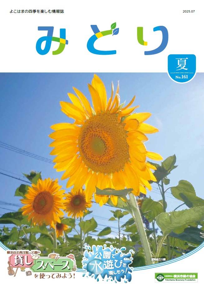 季刊誌みどり夏号No.161|季刊誌みどり|横浜市緑の協会のご案内公式