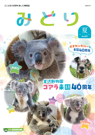 季刊誌みどり春号No.165の写真