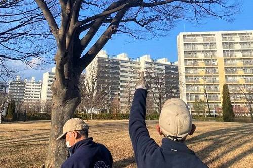公園内の巡視.jpeg