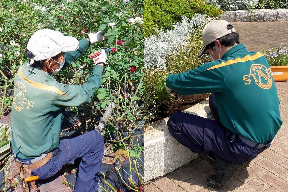 植物の剪定・花苗植え.jpg