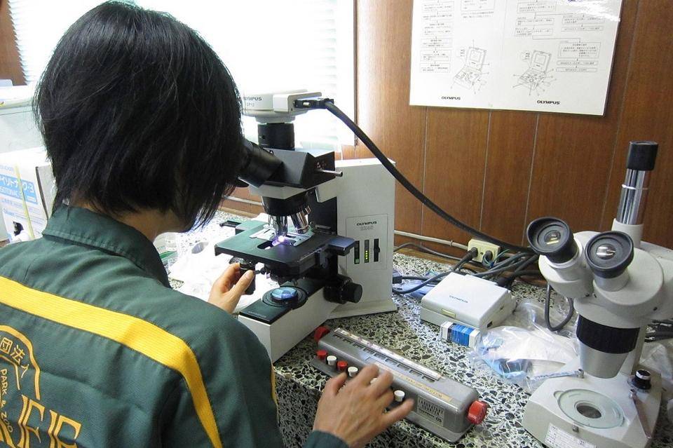 動物の健康状態などを調べる血液検査.jpg