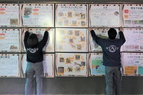 動物園施設での業務2.jpg