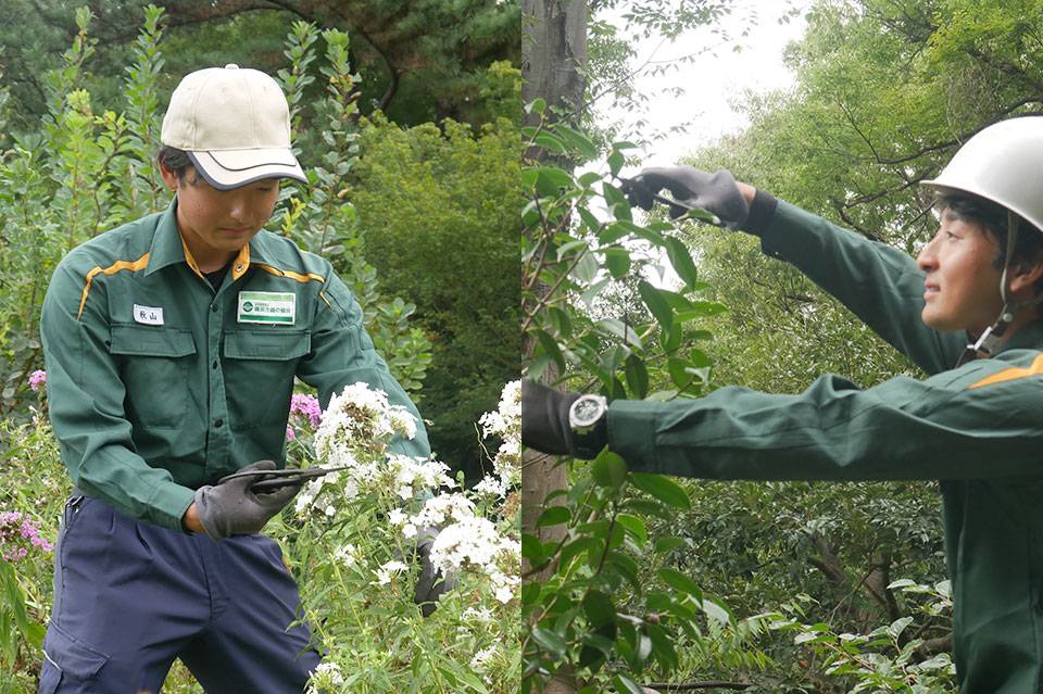 植物の剪定・花苗の植え付け.jpg