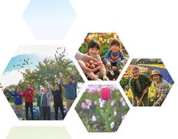 例年横浜公園で開催しているチューリップ球根植え付けイベントに代わり、今年は横浜グリーンエクスポ連携イベント「ギネス世界記録™に挑戦！ 球根ミックス花壇づくりで仲間になろう！」を開催します!