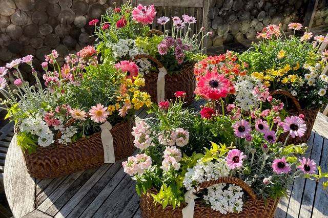 花と緑の園芸店.jpg