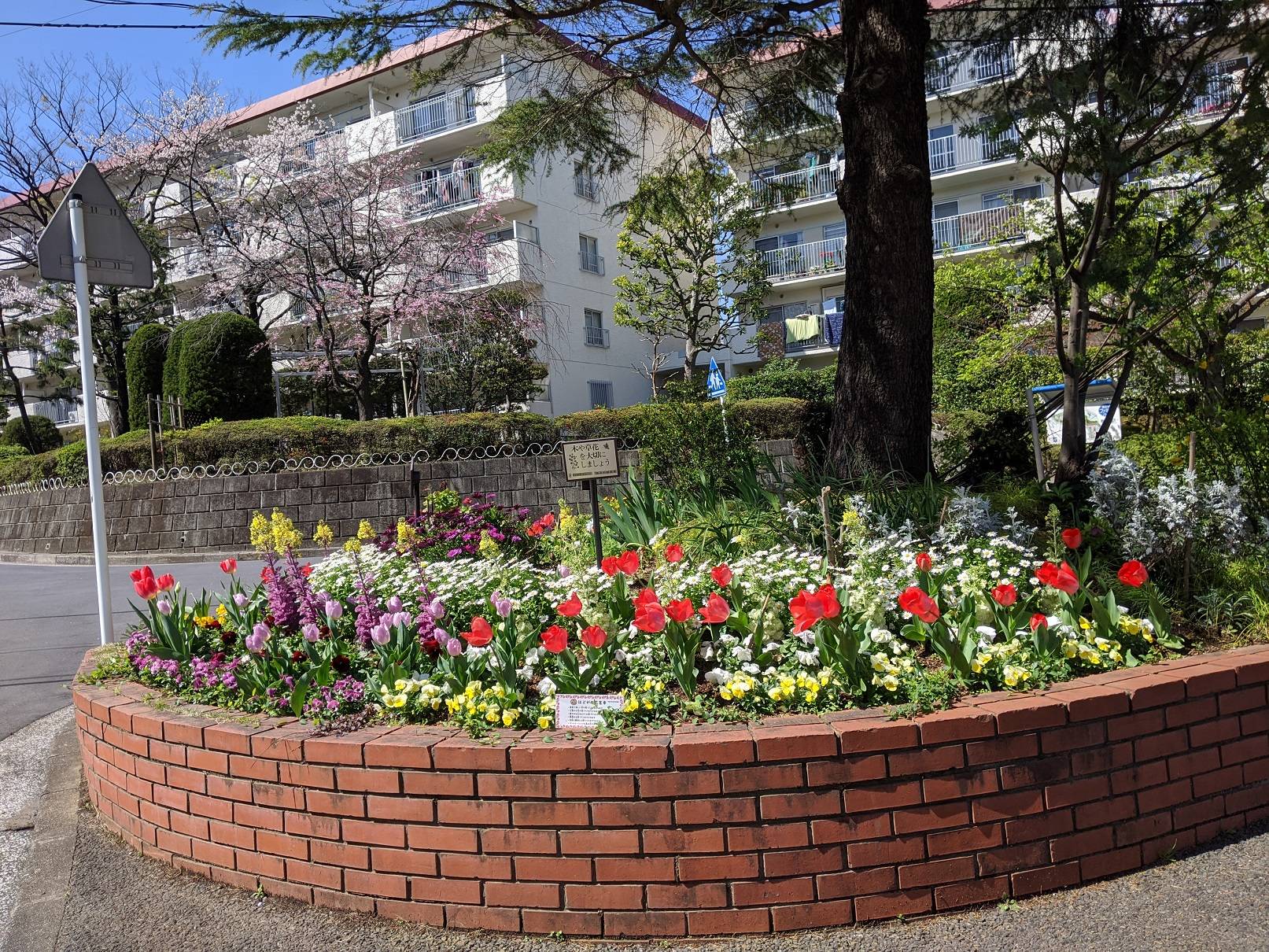 瀬戸ヶ谷小学校(推進団体ページ).jpg