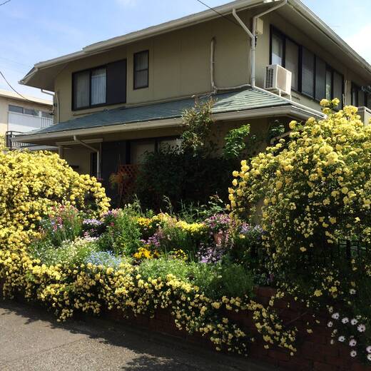 真島さんの花三昧の庭