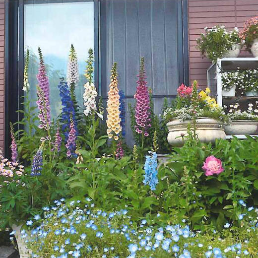 花いっぱいの和洋折衷の庭