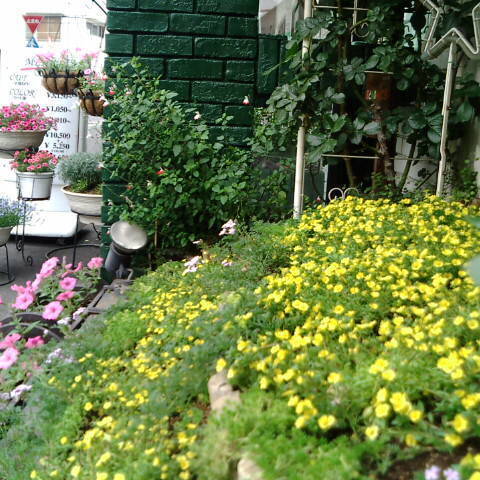 花いっぱいの美容室