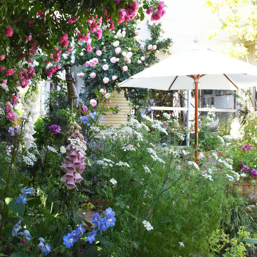 すみ子の小鳥が憩うガーデン