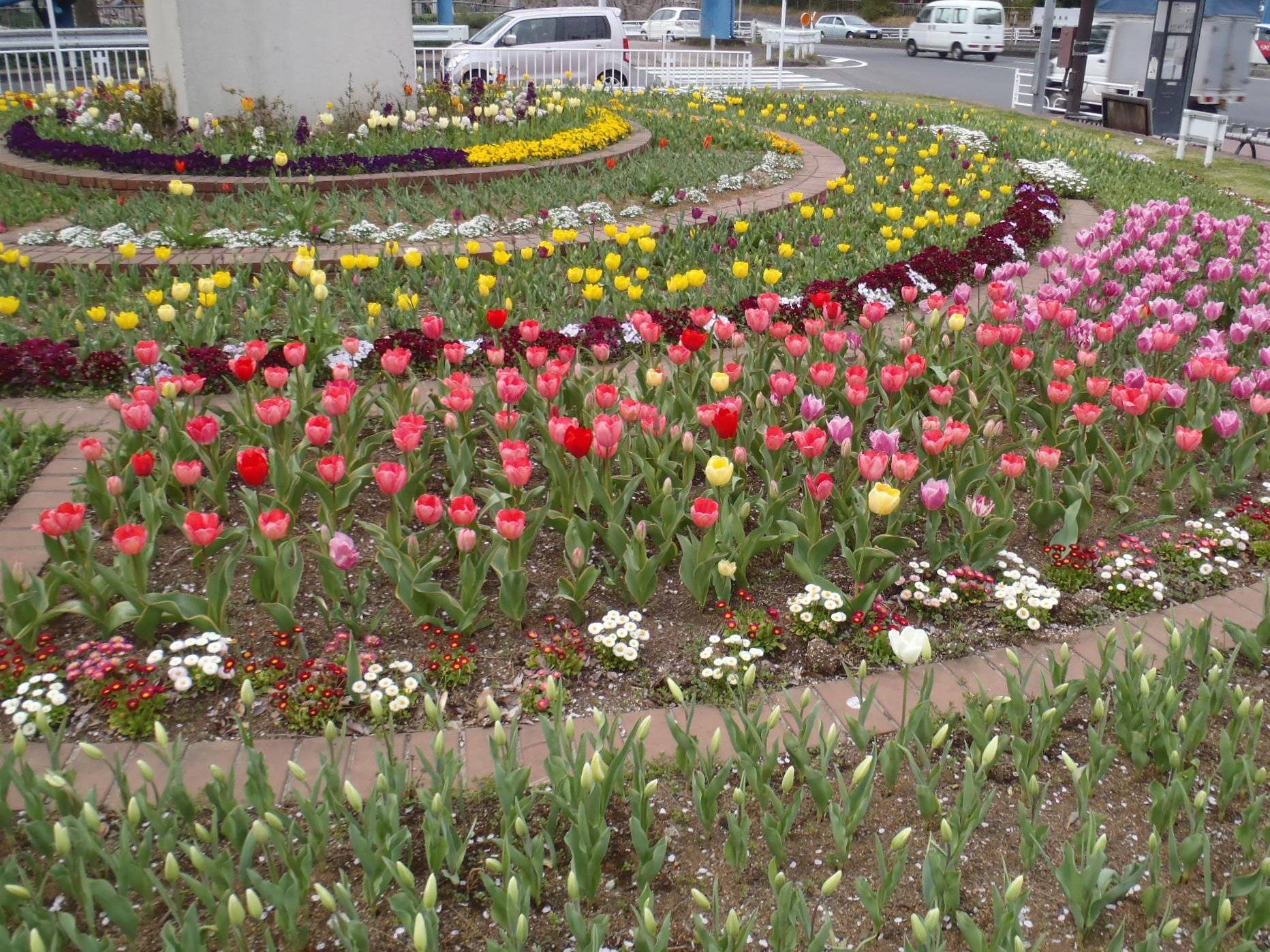 2地植えの緑化.jpg
