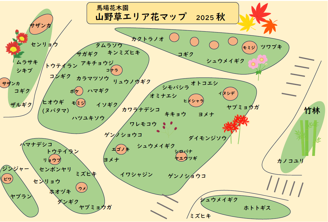 山野草エリア花マップ2025秋.png