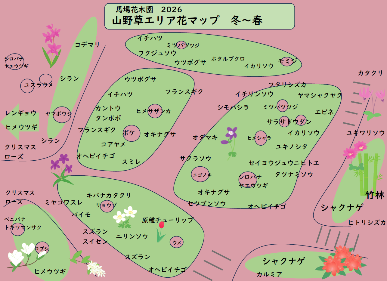 山野草エリア花マップ2026冬～春.png