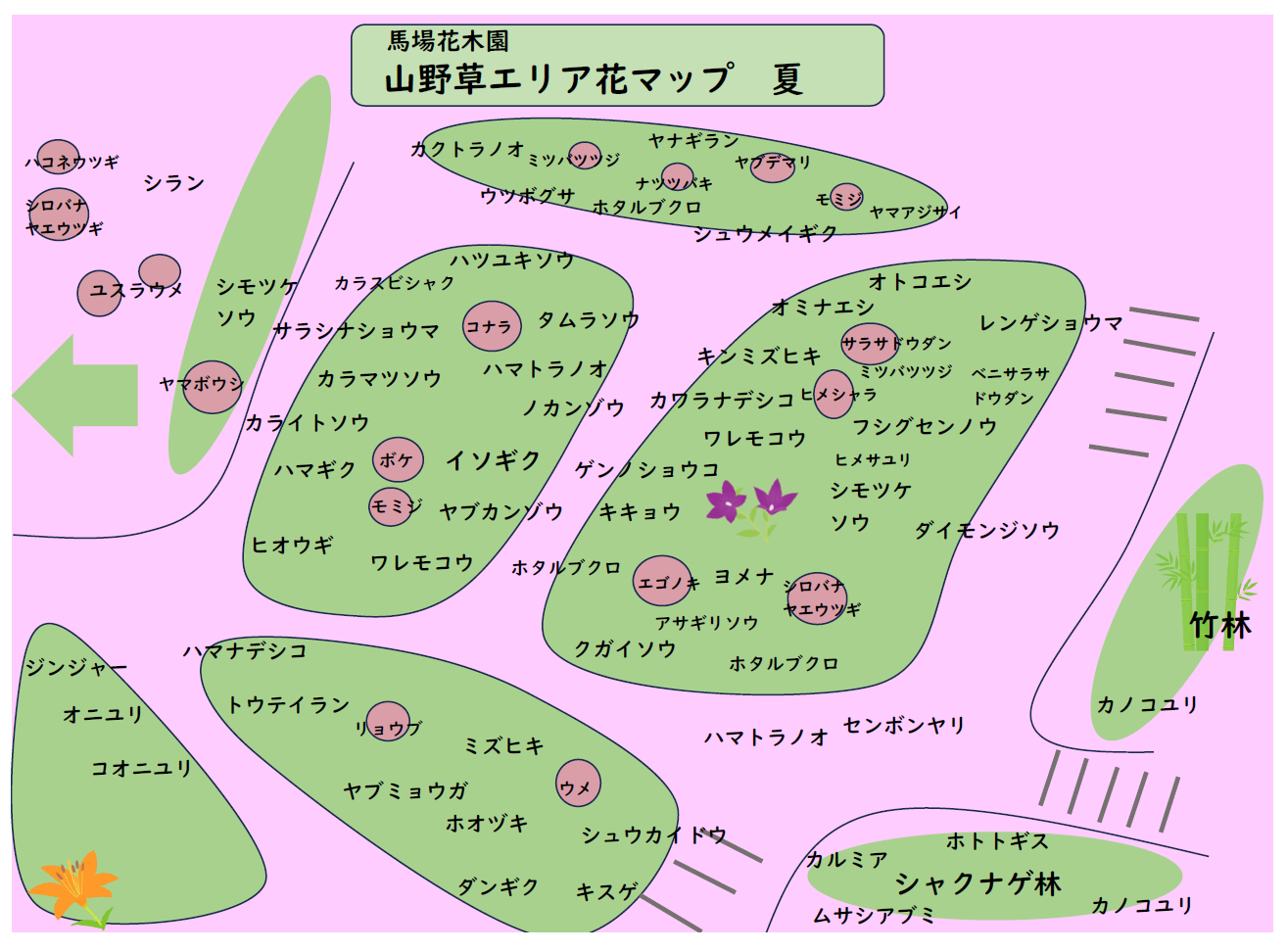 山野草エリア花マップ2026夏.png
