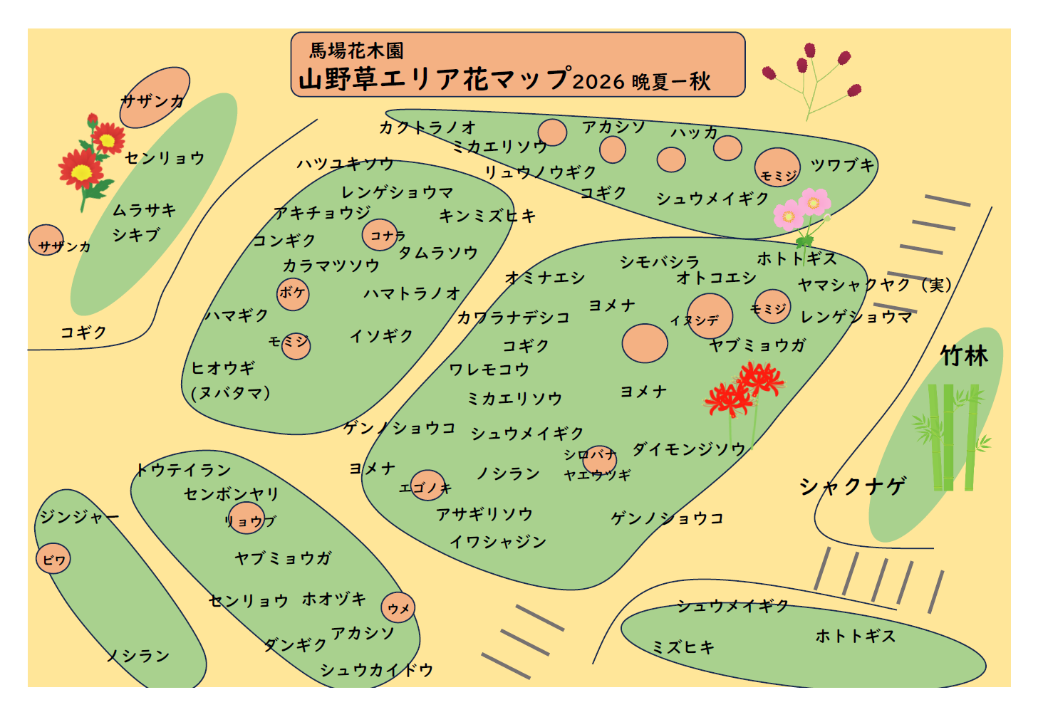 山野草エリア花マップ2026.秋.png