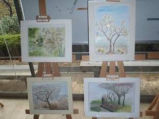 【馬場花木園】写生教室・ボランティア募集！！