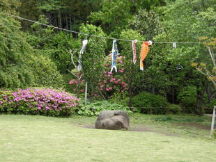 【馬場花木園】令和元年5月1日の風景